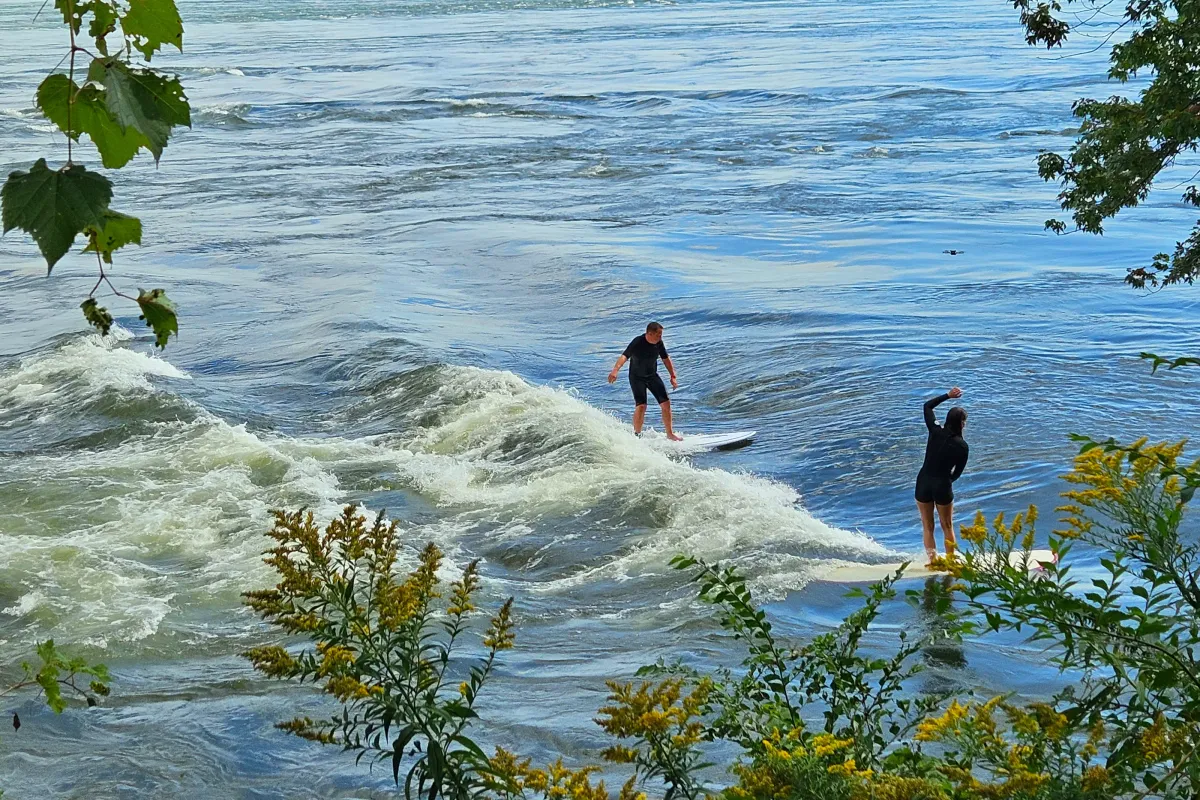 La Vague à Guy 🏄🏻